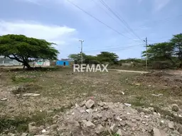 View 6