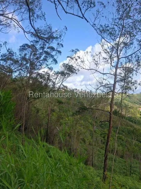 Terreno (Residencial) en Venta en Municipio Carrizal, Miranda - 2