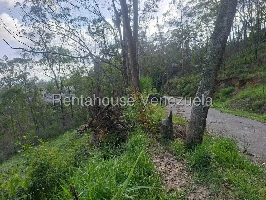 Terreno (Residencial) en Venta en Municipio Carrizal, Miranda - 12