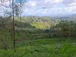 View 4