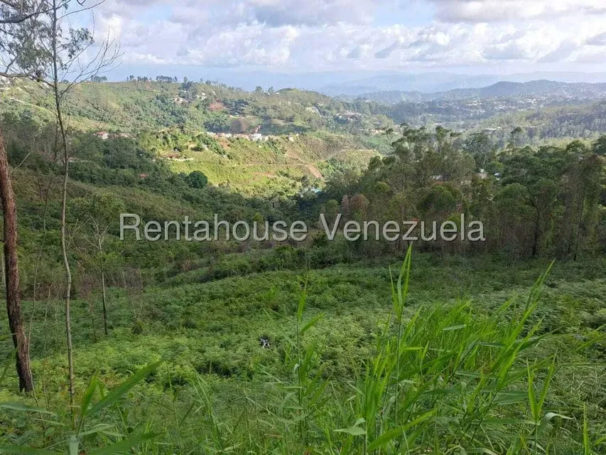 Terreno (Residencial) en Venta en Municipio Carrizal, Miranda - 6