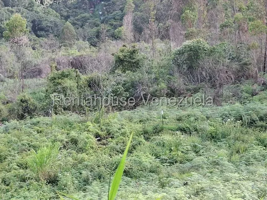 Terreno (Residencial) en Venta en Municipio Carrizal, Miranda - 7
