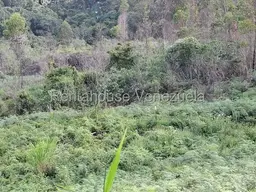 View 7