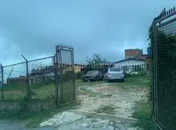 Vista 1