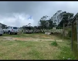 Vista 4