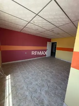 Vista 4