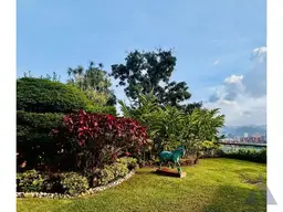 View 4