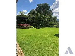 View 8