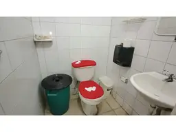 Vista 19