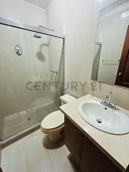 Vista 6