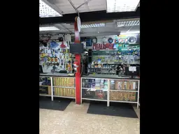 Vista 6