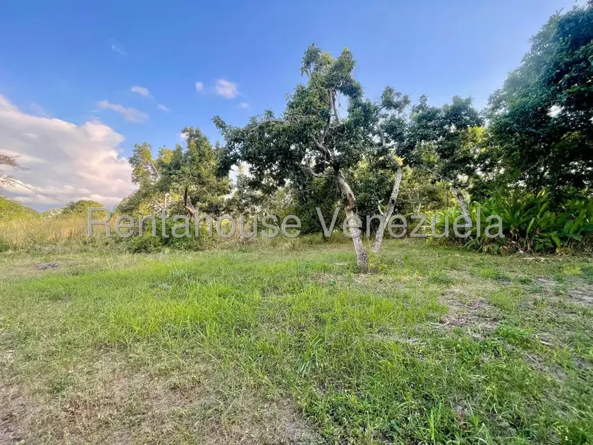 Casa (1 Nivel) en Venta en San Felipe, Yaracuy - 11