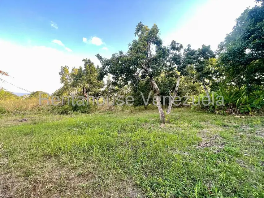 Casa (1 Nivel) en Venta en San Felipe, Yaracuy - 12