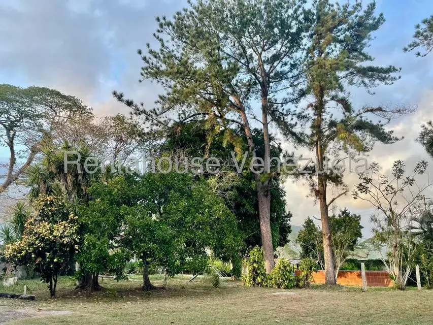 Casa (1 Nivel) en Venta en San Felipe, Yaracuy - 4