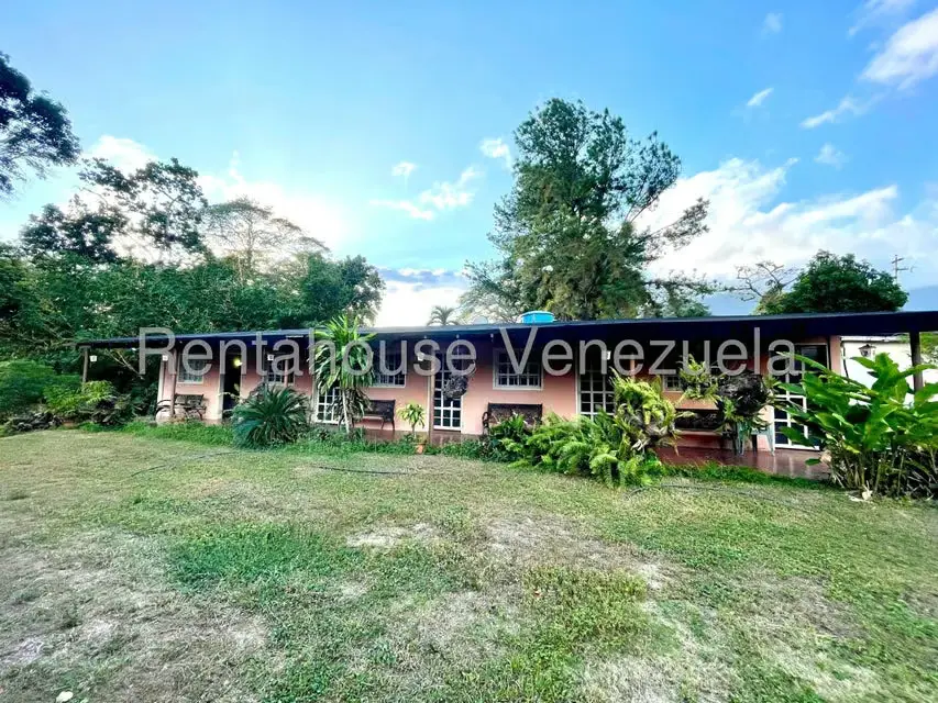 Casa (1 Nivel) en Venta en San Felipe, Yaracuy - 10