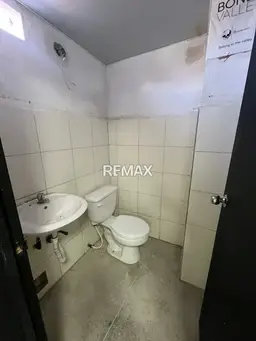 Vista 4