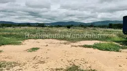 Vista 19