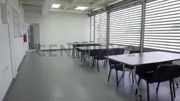 Vista 5