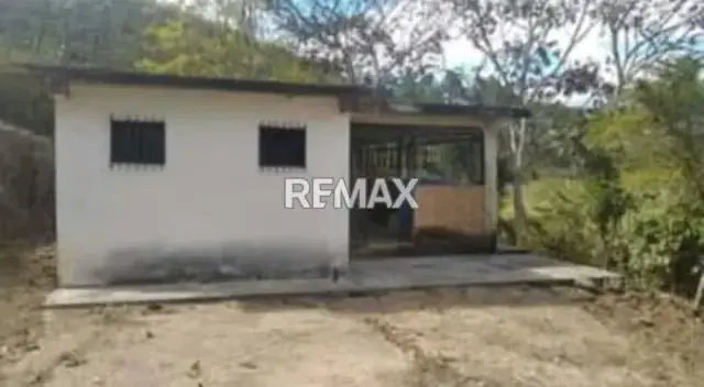 Venta de Finca de 12 hectáreas en Montalbán