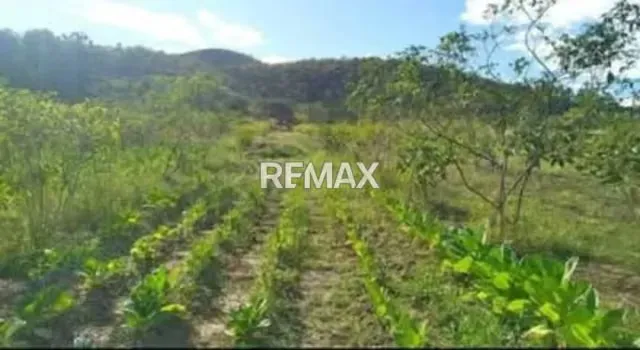 Venta de Finca de 12 hectáreas en Montalbán - 2