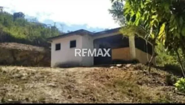 Venta de Finca de 12 hectáreas en Montalbán - 4
