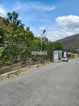 Vista 3