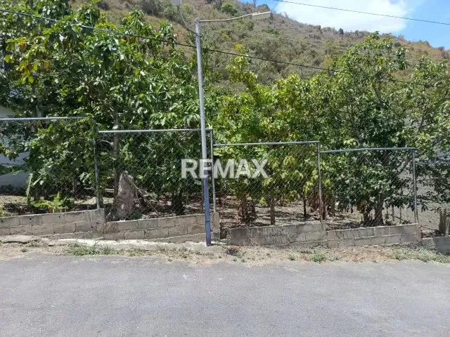 Lote de Terreno en venta ubicado en la Urb. San Pablo calle Trigal a pocos minutos de Valera - 4