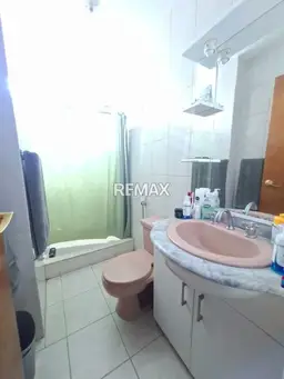 Vista 6