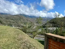 View 49
