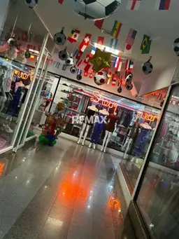 Vista 1