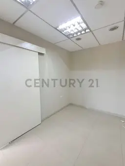 Vista 6