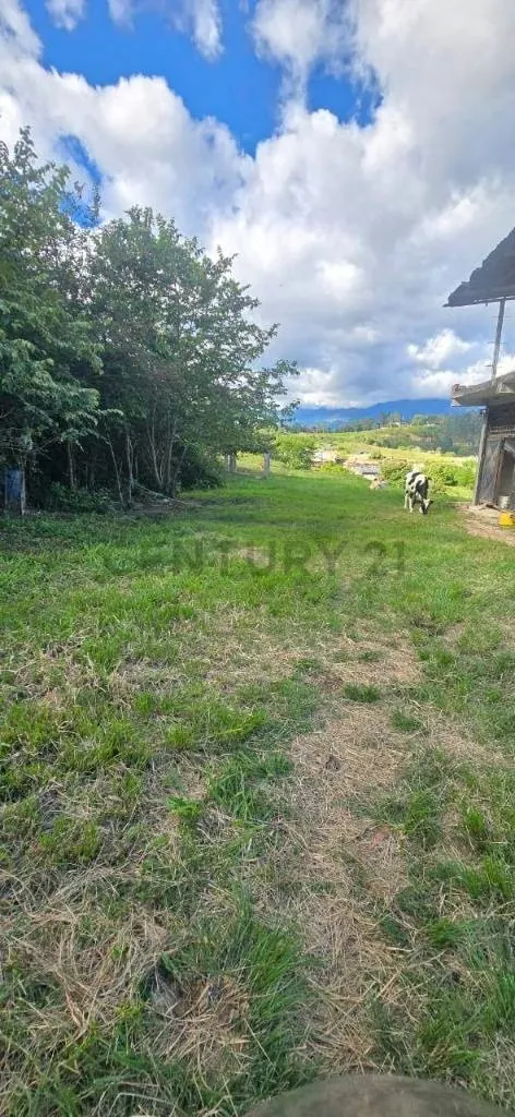 Venta terreno Boca de Caneyes - 3
