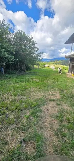 View 3