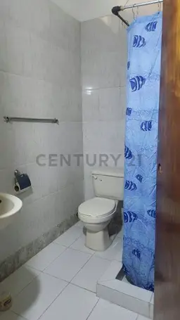 Vista 12