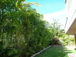 Vista 4