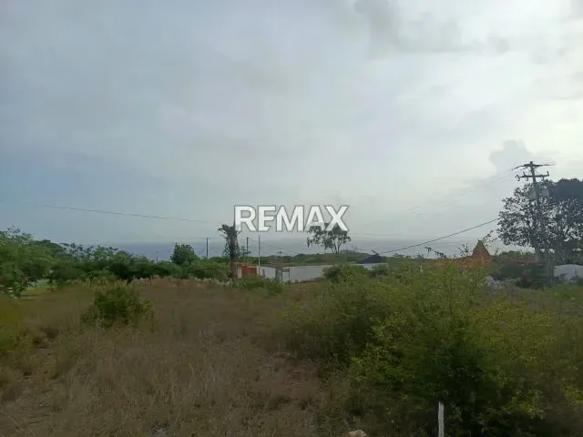 TERRENO EN MANANTIAL DEL CARDON UNA INVERSION DE OPORTUNIDAD EN LA ISLA DE MARGARITA CON VISTA AL MAR CON UNA VISTA PANORAMICA INCREIBLE - 18
