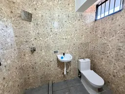 Vista 24