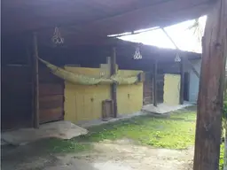 Vista 5