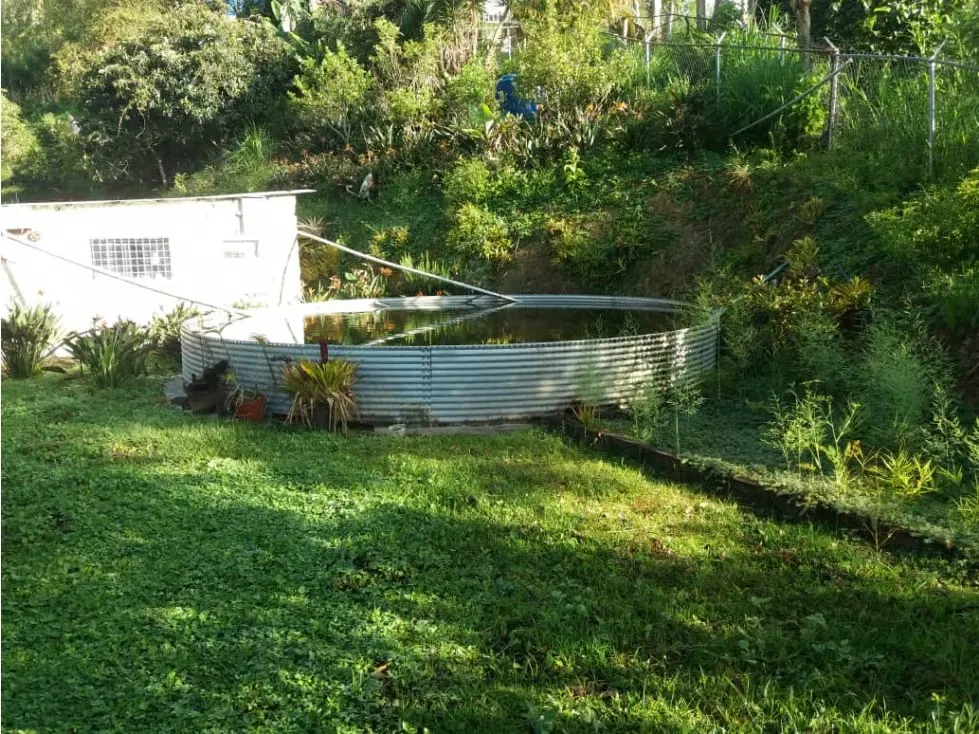 Vendo finca 15000m2 San antonio 6625 - 7