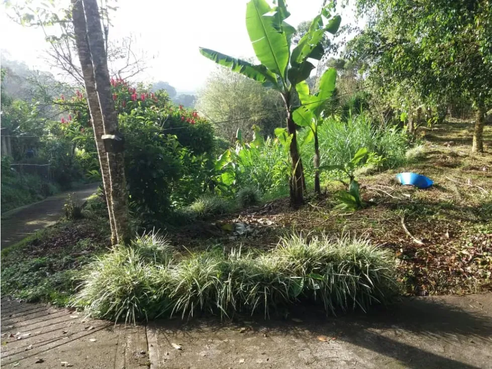 Vendo finca 15000m2 San antonio 6625 - 8