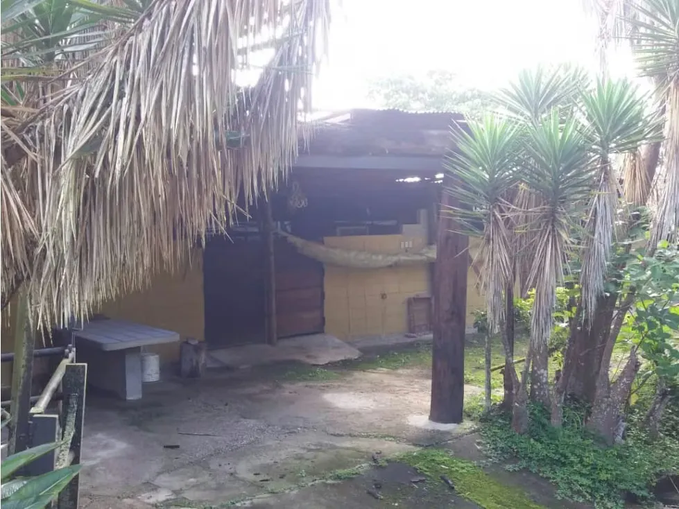 Vendo finca 15000m2 San antonio 6625 - 9