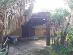 Vista 9