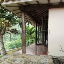 Vista 11