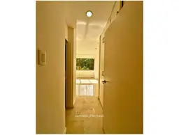 Vista 19
