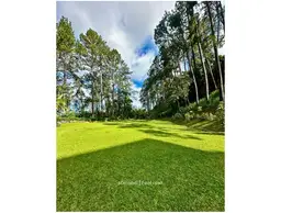 Vista 4