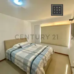 Vista 5