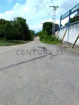 Vista 1