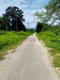 Vista 2