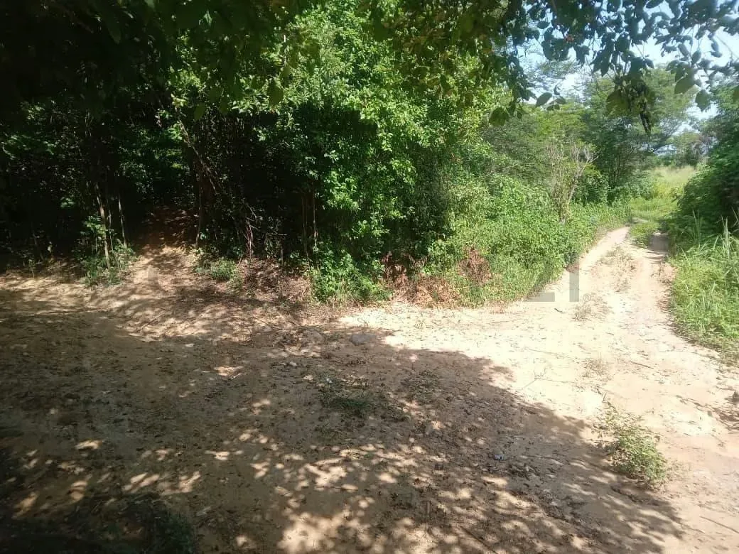 Terreno Industrial listo para construir - 3