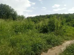 Vista 5